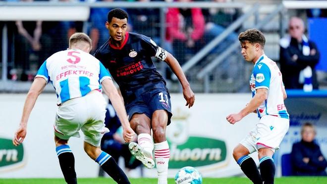 教练组合理 教练组合理