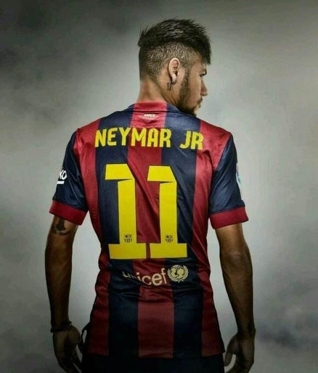 蘇達森林狼 蘇達森林狼